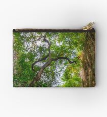 Historical Places of Nassau, The Bahamas: The Queen's Staircase Studio Pouch