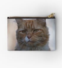 Not Happy about Posing Studio Pouch