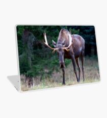 Don't Goose the Moose Laptop Skin