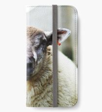Nobby iPhone Wallet/Case/Skin