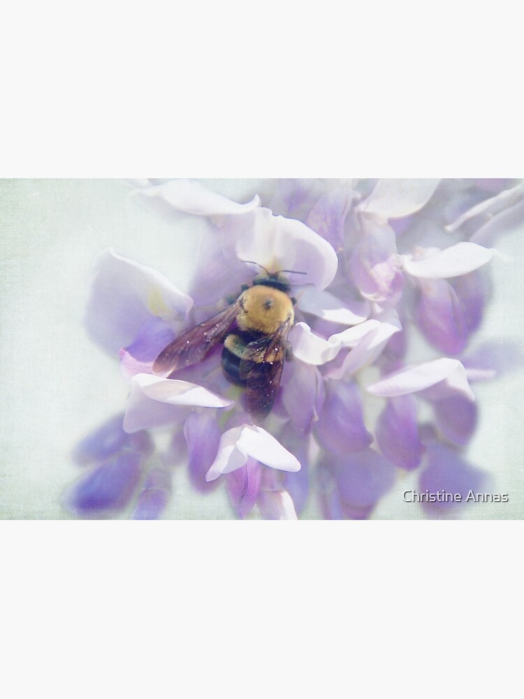 Oh Wisteria! by 2Bricks