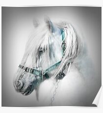 Gypsy portrait Poster