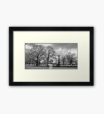 clapham bandstand Framed Print