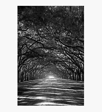 Oak Lane Photographic Print