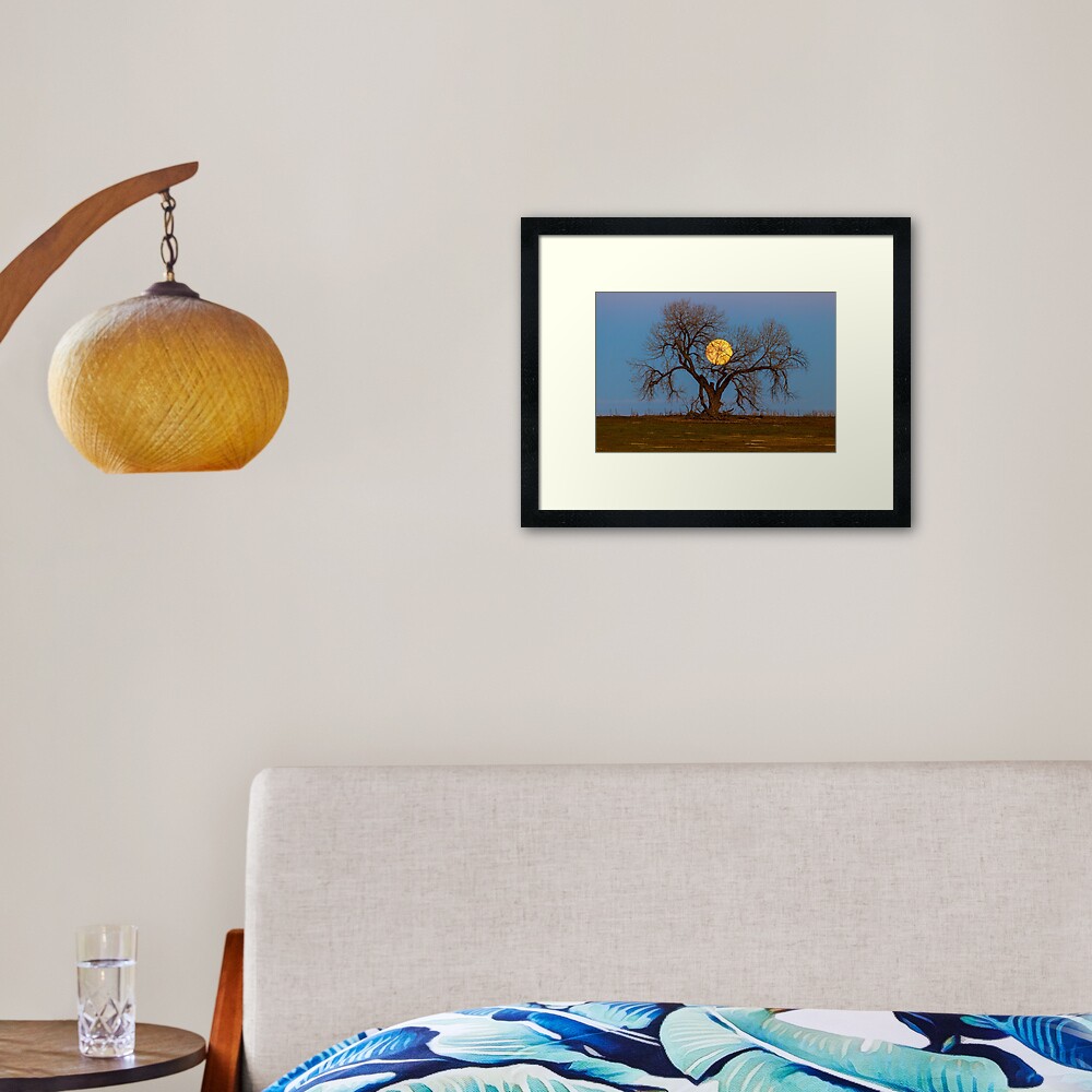 November Supermoon Tree Framed Art Print