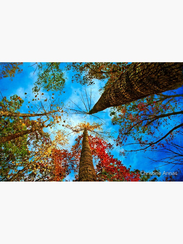 Up! by 2Bricks