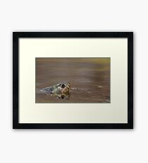 Surfacing Framed Print