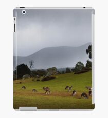 Mountain Refuge. iPad Case/Skin