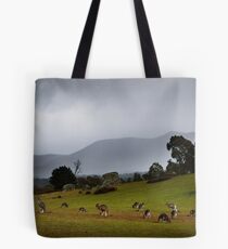 Mountain Refuge. Tote Bag