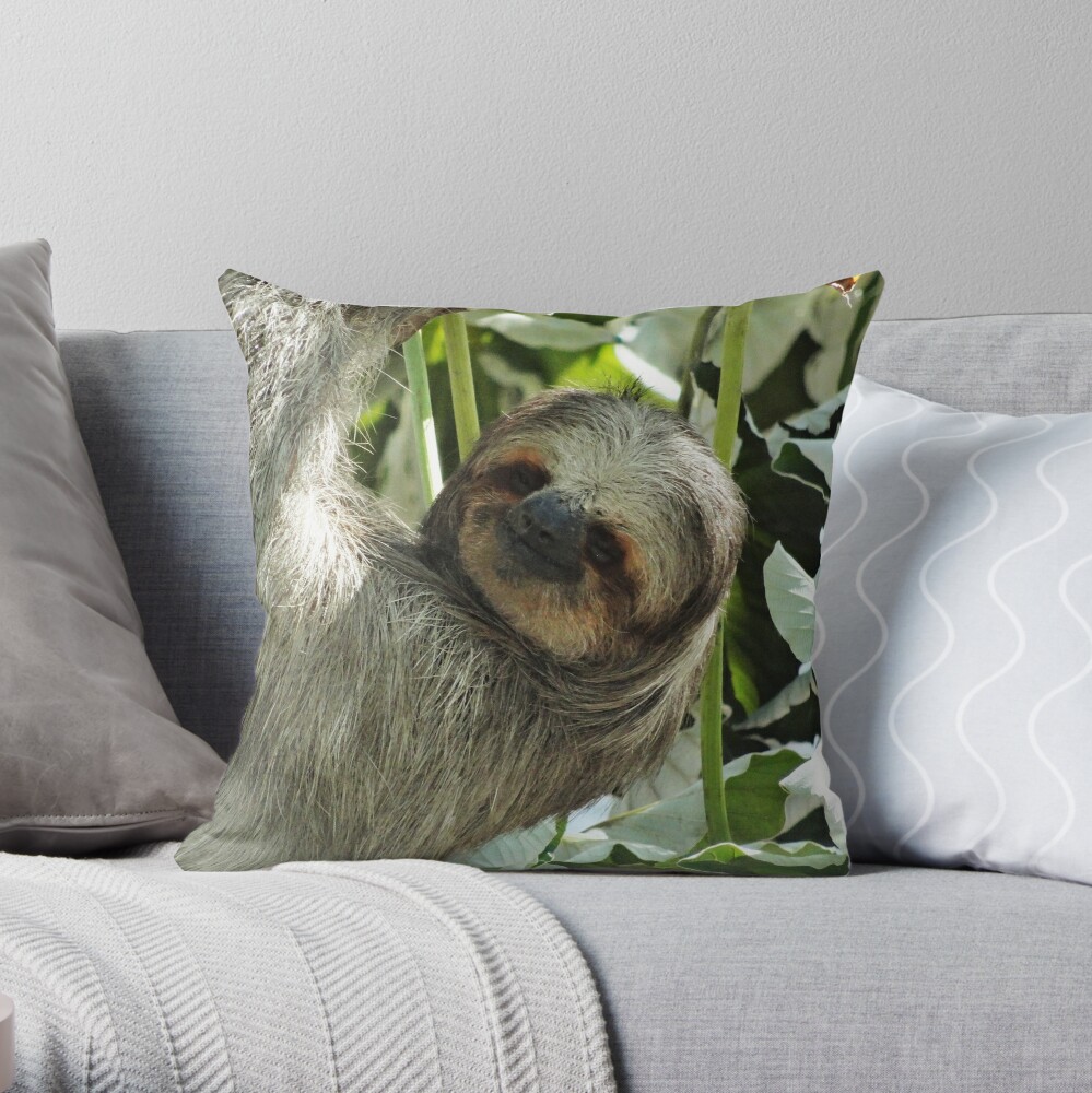 purr pillow sloth