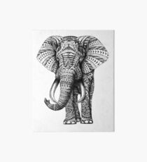 Lámina de exposición Elefante adornado