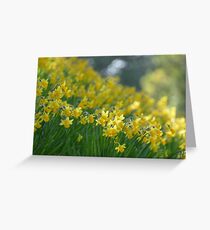 Golden Host Greeting Card