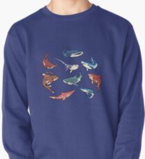 Sharks in the dark blue Pullover