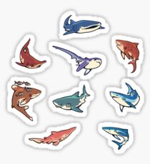 Sharks in the light blue Sticker