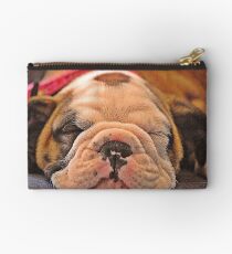 Sleeping puppy Studio Pouch