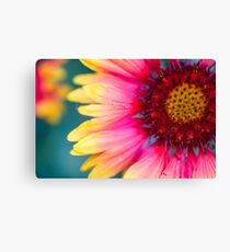 Einfache Steigung Kegel Blume Foto Leinwanddruck