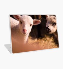 tweetletee and tweedledum Laptop Skin