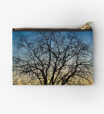 Nervosa Studio Pouch