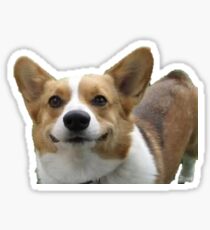 corgi sticker Sticker