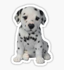 Dalmatian Puppy Sticker