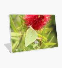 Cloudless Sulphur Laptop Skin