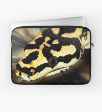 Snake,carpet python. Laptop Sleeve