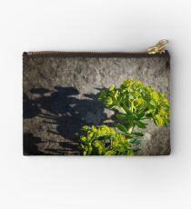 Euphorbia On The Rocks Zipper Pouch