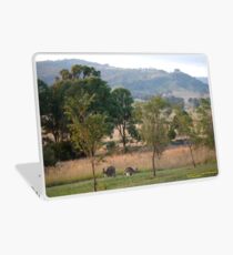 Kangaroos and their Joey -Vacy, NSW Australia Laptop Skin