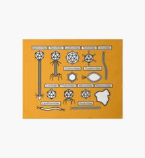 Bacteriophage families Art Board Print