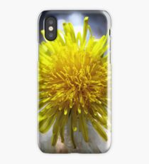 Macro Daisy iPhone Case/Skin