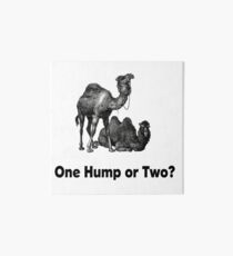 Funny Camels One Hump or Two Art Board