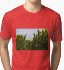 Wheat Field Tri-blend T-Shirt