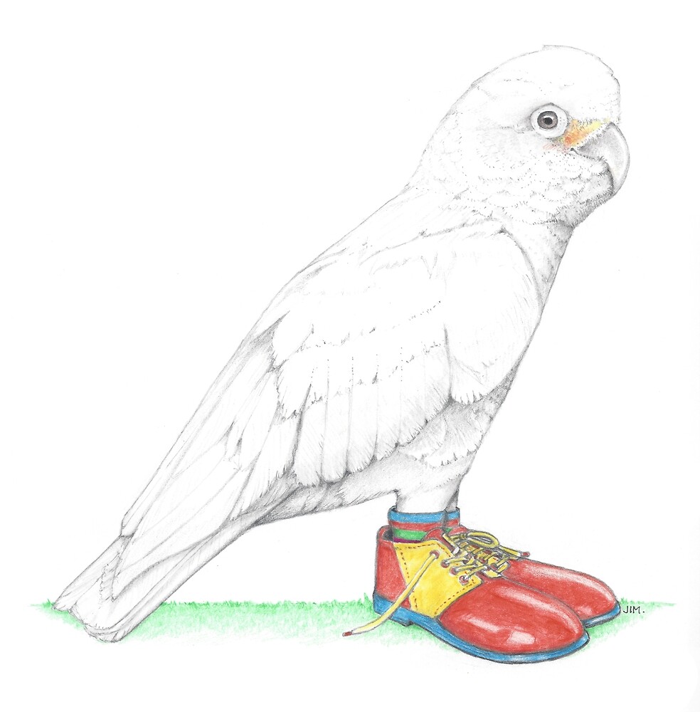 Goffin's Cockatoo in Clown Shoes by JimsBirds