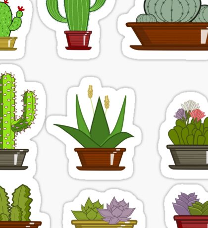 Succulents: Stickers | Redbubble