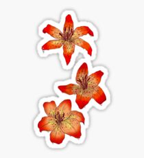 Three Tiger Lillies Sticker