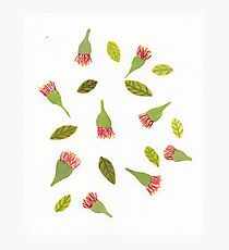 bottle brush pattern Photographic Print