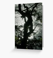 dancing light Greeting Card