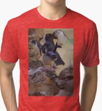 Penguins Tri-blend T-Shirt