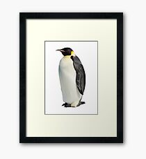 Penguin Framed Print