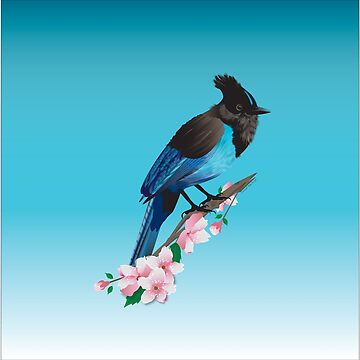 Artwork thumbnail, Stellar's Jay Bluebird by seacay