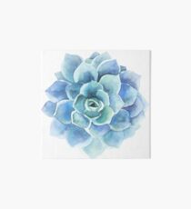 Lámina de exposición Ilustración suculenta acuarela tonos azules