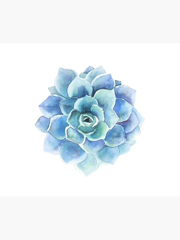 Watercolor blue tones succulent illustration by artonwear