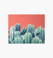Cactus on Coral #redbubble #lifestyle Art Board