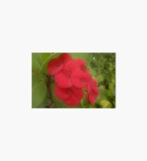 Flower Art Board