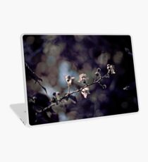 Macro Laptop Skin