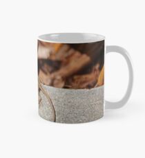 A Hush in the Afternoon Mug