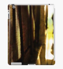 Shadow iPad Case/Skin