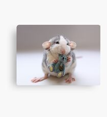 Rosie with bear (2) Canvas Print