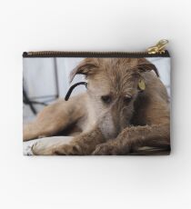 Grace - Stag Hound 1.5yrs Studio Pouch
