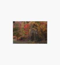 Evocative Autumn Art Board